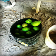 Belize Bucket of Mangoes