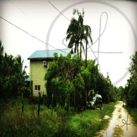 House in Burrell Boom