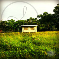 Tiny Shack in Burrell Boom