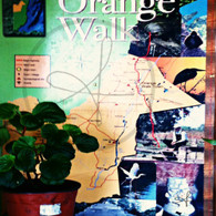 Orange Walk Map
