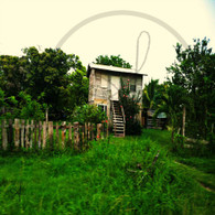 Tiny House on Northern Highway