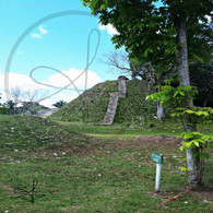 Altun Ha Small Ruins Steps