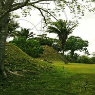 Altun Ha Mound View