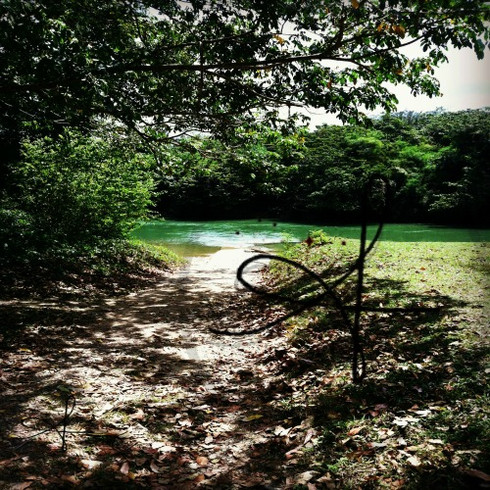 Image 1