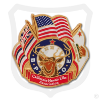 Elks CHEA Logo Pin
