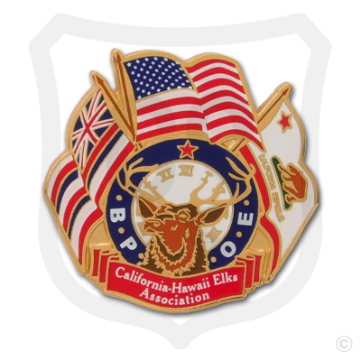 Elks CHEA Logo Pin