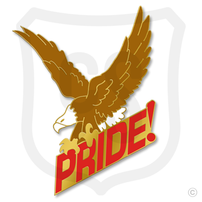 Eagle / Hawk Pride!