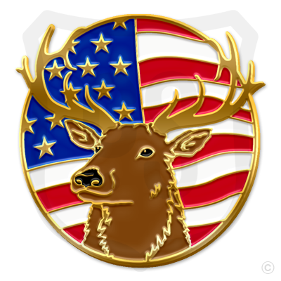 Elk / American Flag