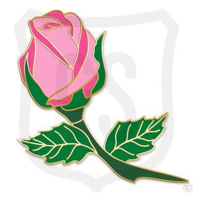 Pink Rose Bud (Flower)