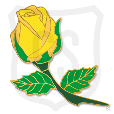 Yellow Rose Bud (Flower)