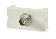 1-Port BNC Module (sign_SCM-1BNC)