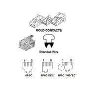 MOD PLUG-6C lkg_TEC3