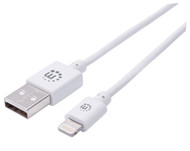 Charge & Sync USB-A to Lightning® Cable - 10'