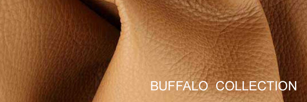 buffalo.jpg