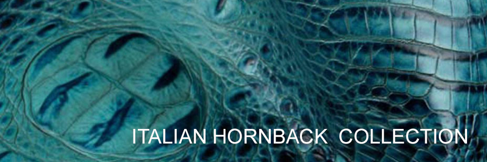 italian-hornback.jpg