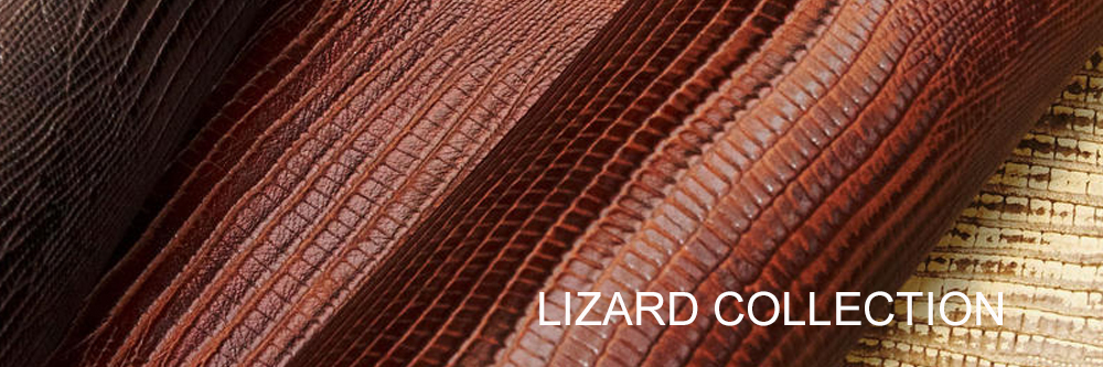 lizard.jpg