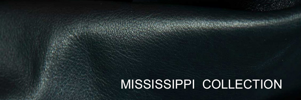 mississippi.jpg