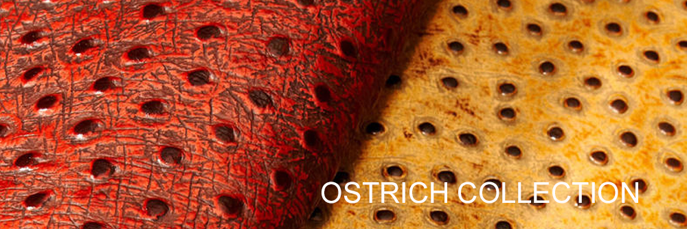 ostrich.jpg