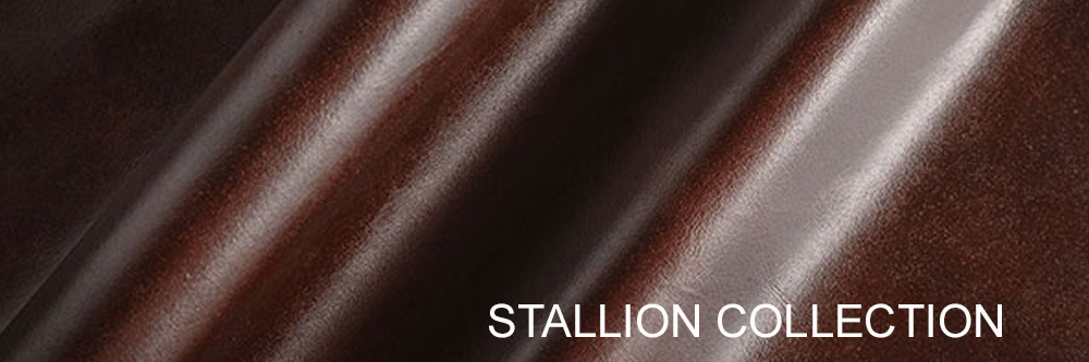 stallion-collection.jpg