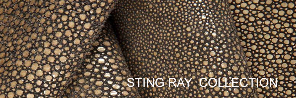 sting-ray.jpg