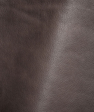 Corinne Titanium