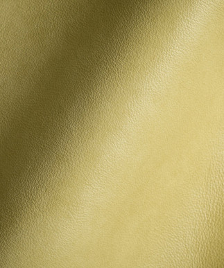 Romanza Citron