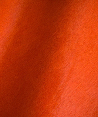 Hair on Hide Bright Orange