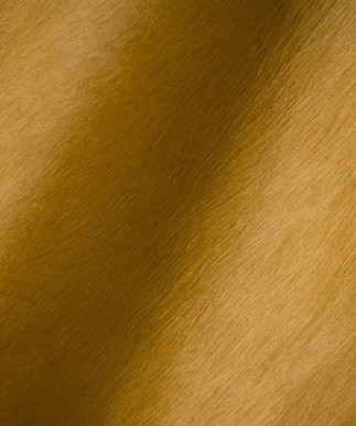 Hair on Hide Honey