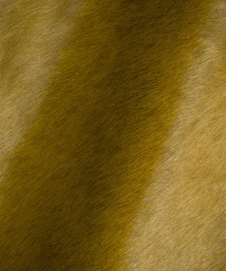 Hair on Hide Mustard