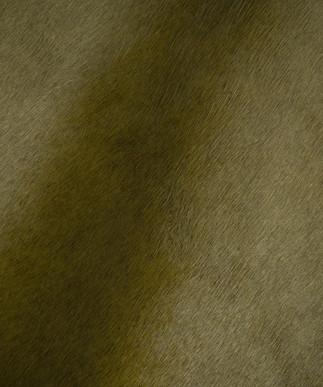 Hair on Hide Olive