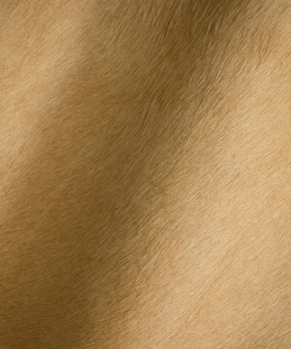Hair on Hide Sand