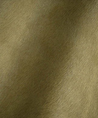 Hair on Hide Wheat Grass