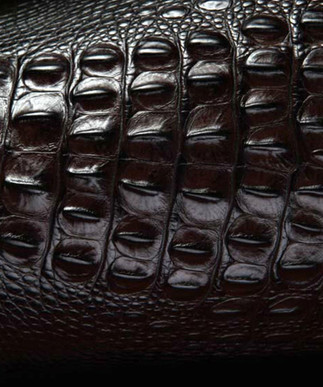 Italian Hornback Chocolate