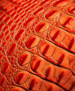 Italian Hornback Red