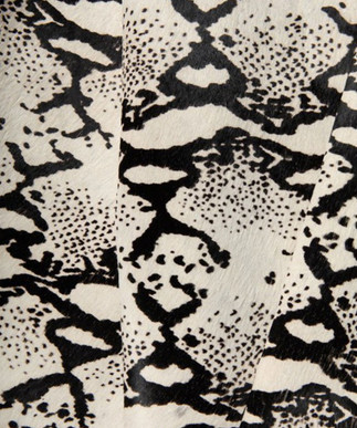 Python Black  & White