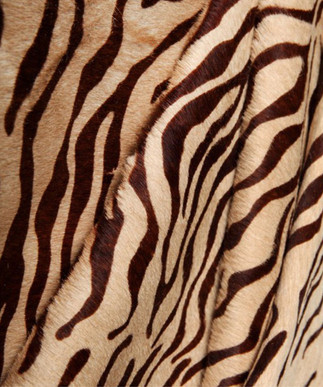 Small Zebra Brown