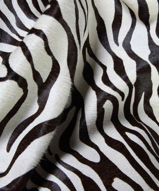 Small Zebra B&W