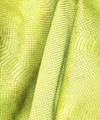 Snake Laser Citron