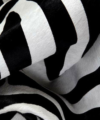Zebra Black and White