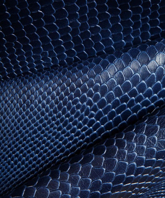 Boa Navy