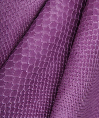 Boa Violet