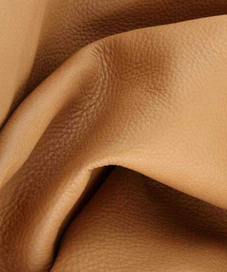 Buffalo Camel