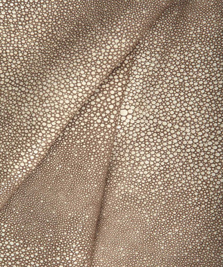 Sting Ray Clay