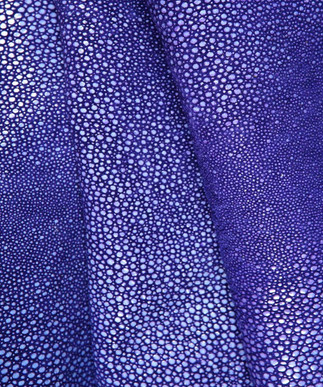 Sting Ray Electric Blue