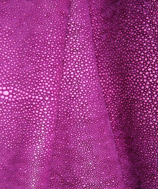 Sting Ray Violet