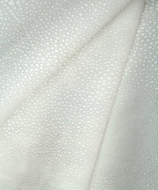 Sting Ray White