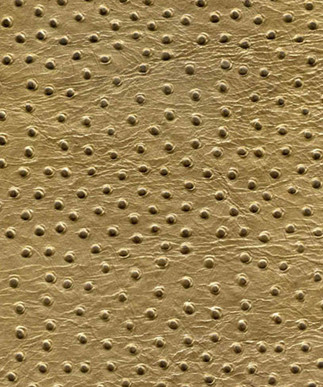 Ostrich Midas Touch