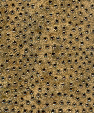 Ostrich Golden Brown