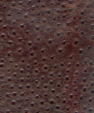 Ostrich Cherry Wood