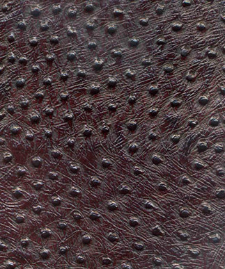 Ostrich Oak